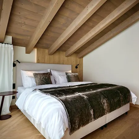 Haus Am Lift - Penthouse - Top4 - Summercard Included - Ski-in Ski-out - 6p Apartment Zell am See