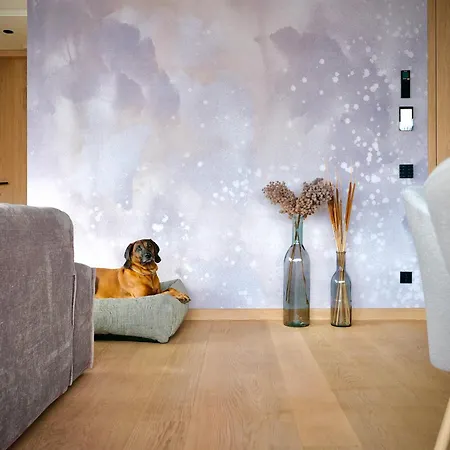 Haus Am Lift - Penthouse - Top4 - Summercard Included - Ski-in Ski-out - 6p Zell am See