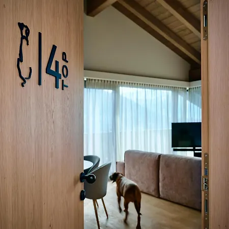 Daire Haus Am Lift - Penthouse - Top4 - Summercard Included - Ski-in Ski-out - 6p