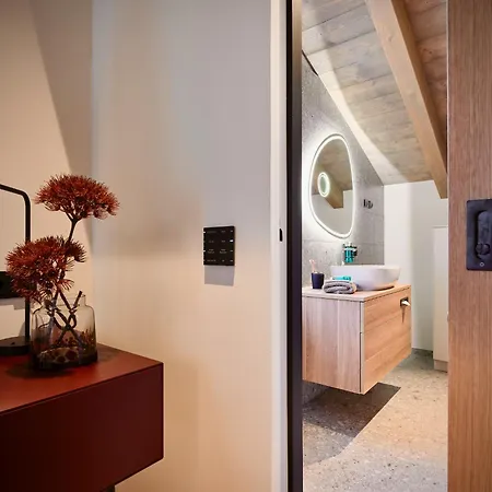 Haus Am Lift - Penthouse - Top4 - Summercard Included - Ski-in Ski-out - 6p Apartment Zell am See