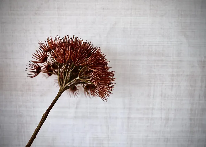 Apartment Haus Am Lift - Penthouse - Top4 - Summercard Included - Ski-in Ski-out - 6p