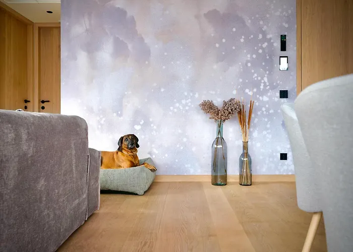 Haus Am Lift - Penthouse - Top4 - Summercard Included - Ski-in Ski-out - 6p 滨湖采尔