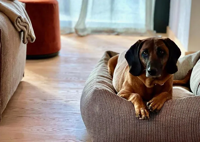 Haus Am Lift - Penthouse - Top4 - Summercard Included - Ski-in Ski-out - 6p