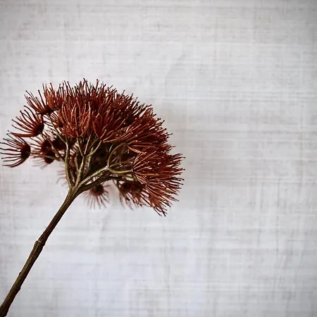 شقة Haus Am Lift - Penthouse - Top4 - Summercard Included - Ski-in Ski-out - 6p