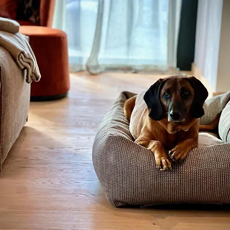 Haus Am Lift - Penthouse - Top4 - Summercard Included - Ski-in Ski-out - 6p